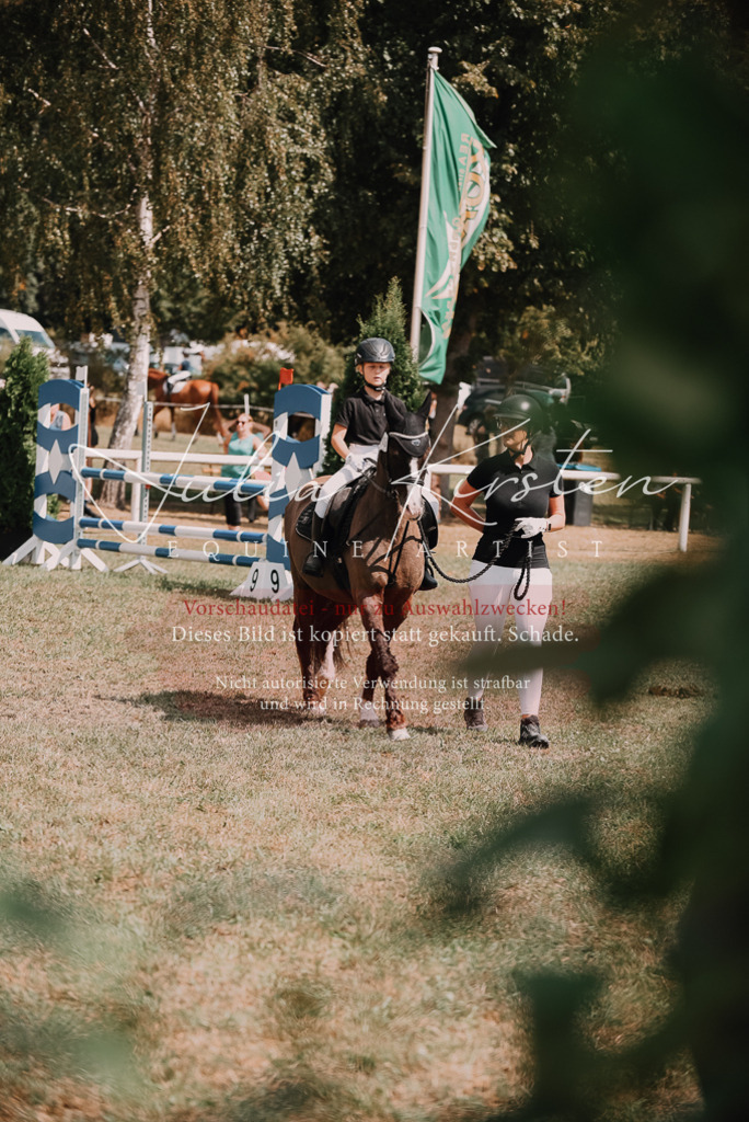 DSC_6141 | Pferde- und Turnierfotografie in Westsachsen. Pferdeportraits, Auftragszeichnungen und intuitive Kunst.