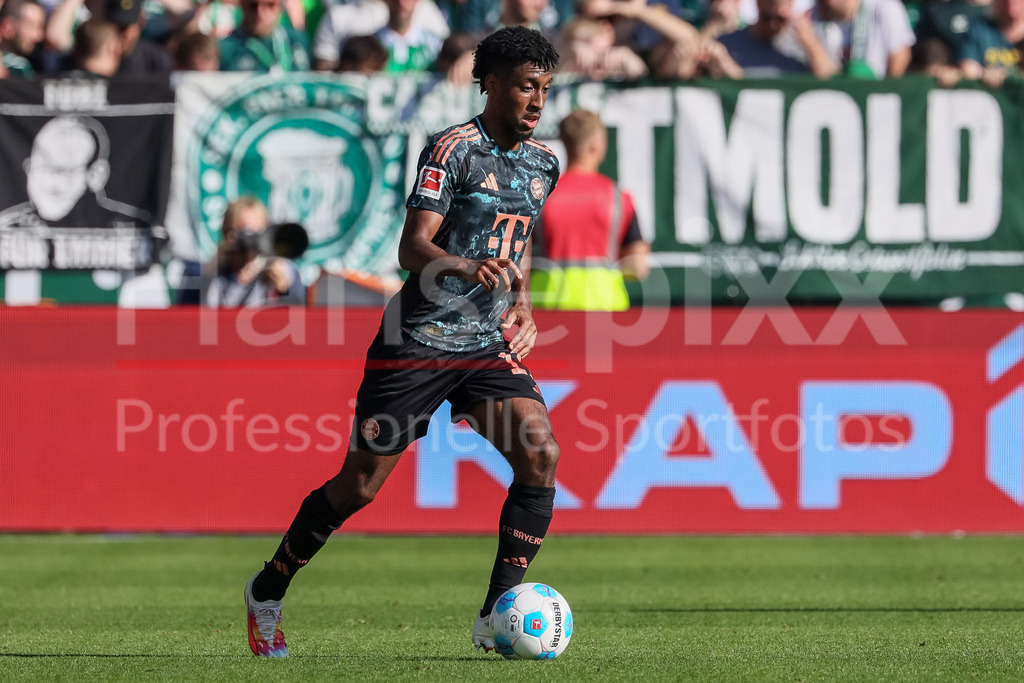 Fussball, Bundesliga, SV Werder Bremen - FC Bayern München | v.li.: Kingsley Coman (FC Bayern München, 11) am Ball, Freisteller, Einzelbild, Ganzkörper, Aktion, Action, Spielszene, DIE DFL-RICHTLINIEN UNTERSAGEN JEGLICHE NUTZUNG VON FOTOS ALS SEQUENZBILDER UND/ODER VIDEOÄHNLICHE FOTOSTRECKEN. DFL REGULATIONS PROHIBIT ANY USE OF PHOTOGRAPHS AS IMAGE SEQUENCES AND/OR QUASI-VIDEO.