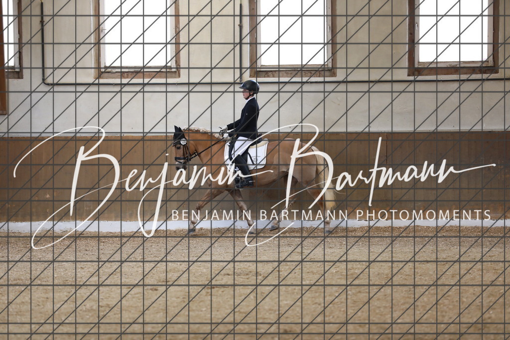 AZ2A8048 | Benjamin Bartmann Photomoments