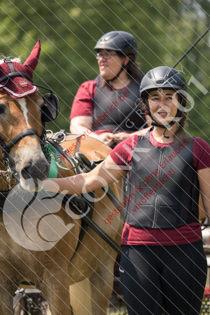 IMG_9235 | Sport-, Event- und Tierfotos in Profiqualität. Einfach auswählen, bestellen und herunterladen. Dein Moment – perfekt festgehalten.