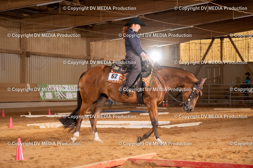 NID00536 | dv-media-shop - Realisiert mit Pictrs.com