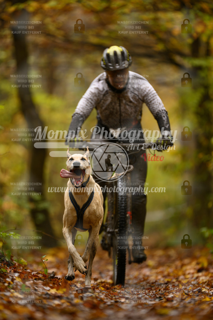 MompixPhotography_CD7S_DI_Bike-73 | mompixphotography