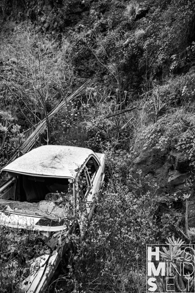 Nature's Revenge | Sichere dir dein Lieblingsbild von HISMINDSET als Print für dein Zuhause oder das Büro! - Realisiert mit Pictrs.com