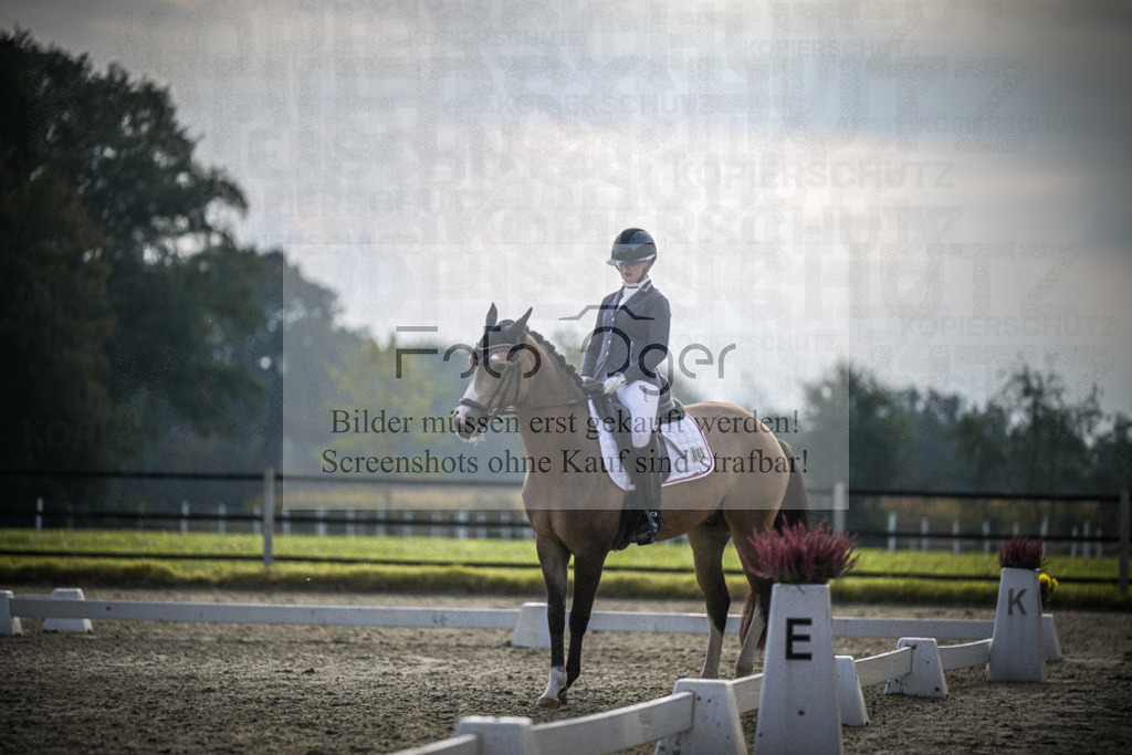 DOS_B034 | Entdecke hochwertige Reitturnierfotos von Foto Oger. Professionell, emotional und authentisch – jetzt Lieblingsmomente im Shop bestellen.Deutschlandweite Turnierfotografie. - Realisiert mit Pictrs.com