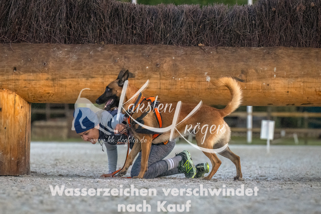 0803-00009 | kk-dogfotos