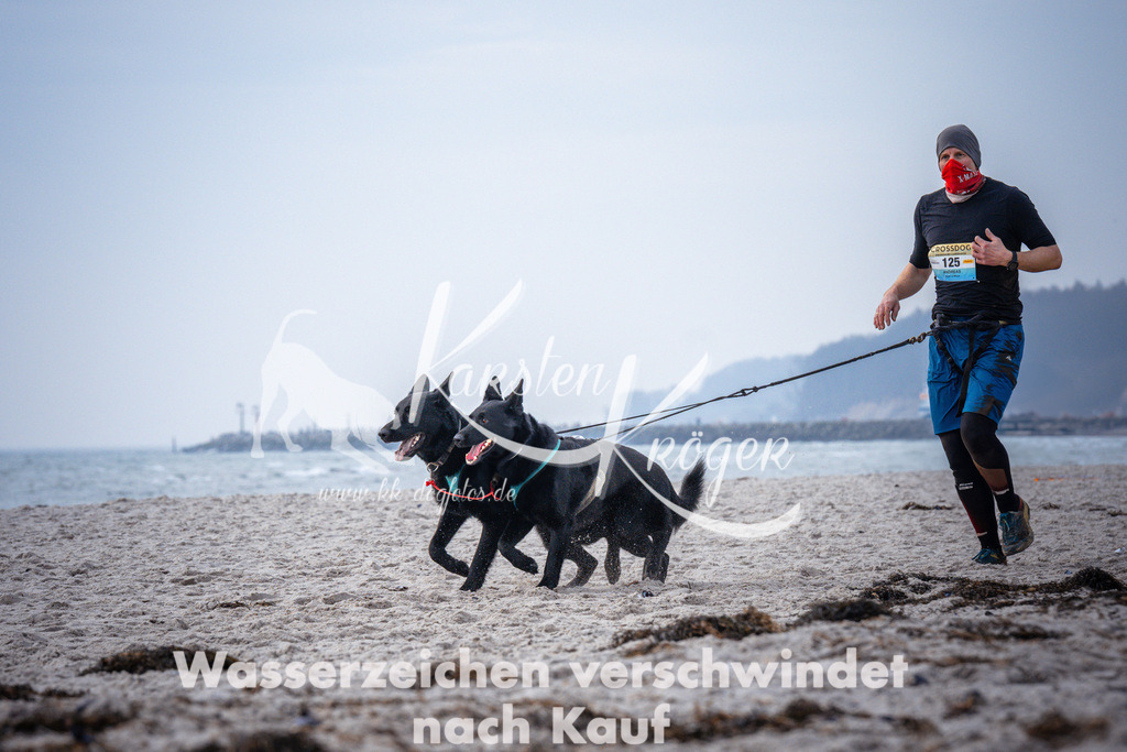 1036_ZZ95527 | kk-dogfotos
