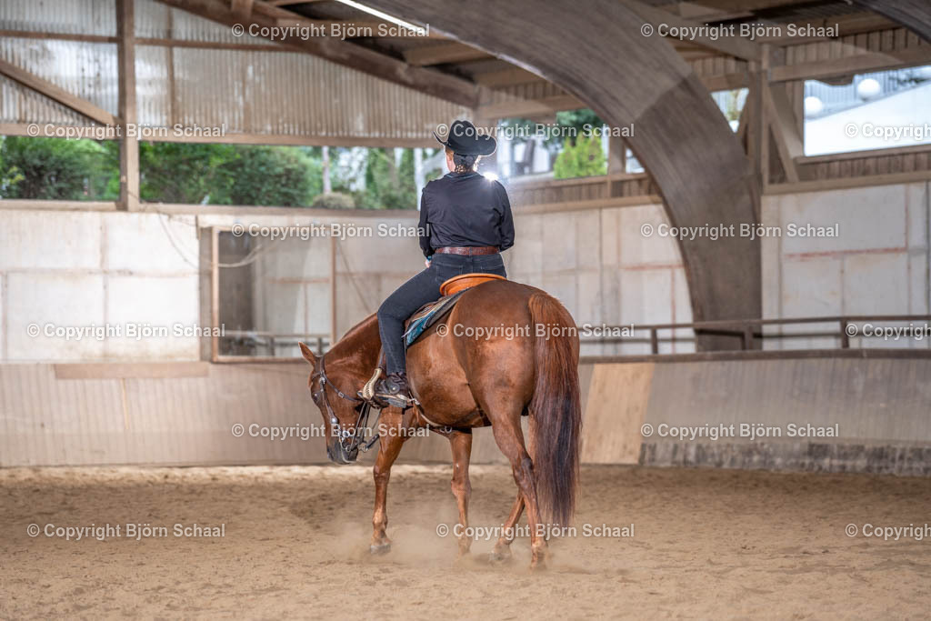 LMB06735 | BS-foto