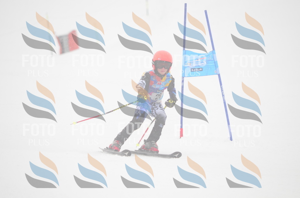 C0749 | holidayphoto