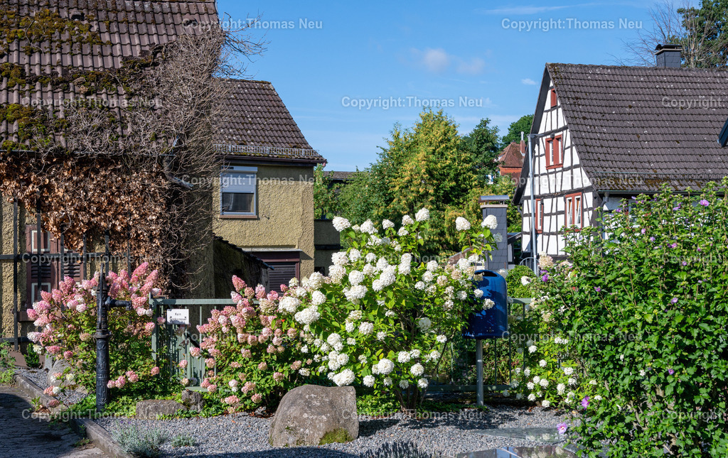 DSC_2483 | bli, Reichenbach, Ortsmitte, schön geschmückter Platz an der Nibelungenstraße mit Hortensien, ,, Bild: Thomas Neu