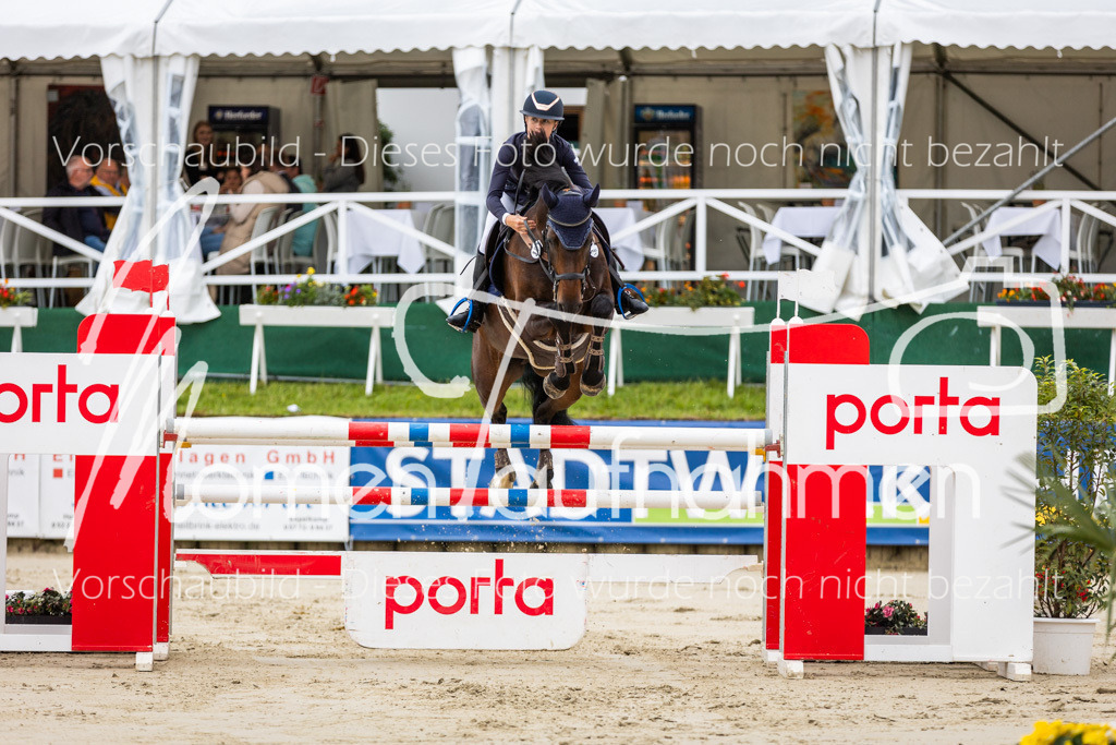 BHO-2PhSpr-M-5-2217 | MomenTaufnahmen Pferdesportfotos