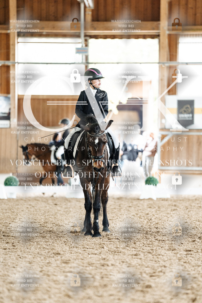 CK901355 | Turnierfotografie Pferdefotografie Trier Rheinland-Pfalz Pferdesport Reitsport Tierfotografie Sportfotografie Pferdevideo Pferdevideografie Equestrianvideography equestrianphotography  - Realisiert mit Pictrs.com