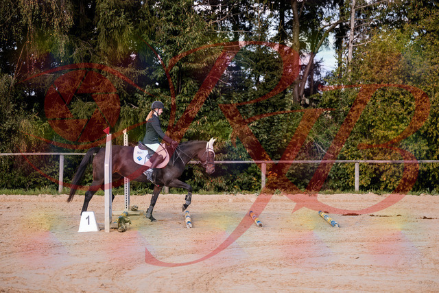 2026_10_03_Siefer-Hof_145846_Z81_40256102 | Professionelle Reitsport-, Turnier- und Eventfotografie von Robert Broda. Galerien mit ausgewählten und bearbeiteten Bildern direkt online ansehen und bestellen.
