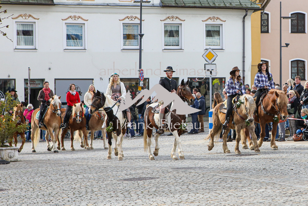 OE7A2205 | Medien- Sport- Entertainmentfotos