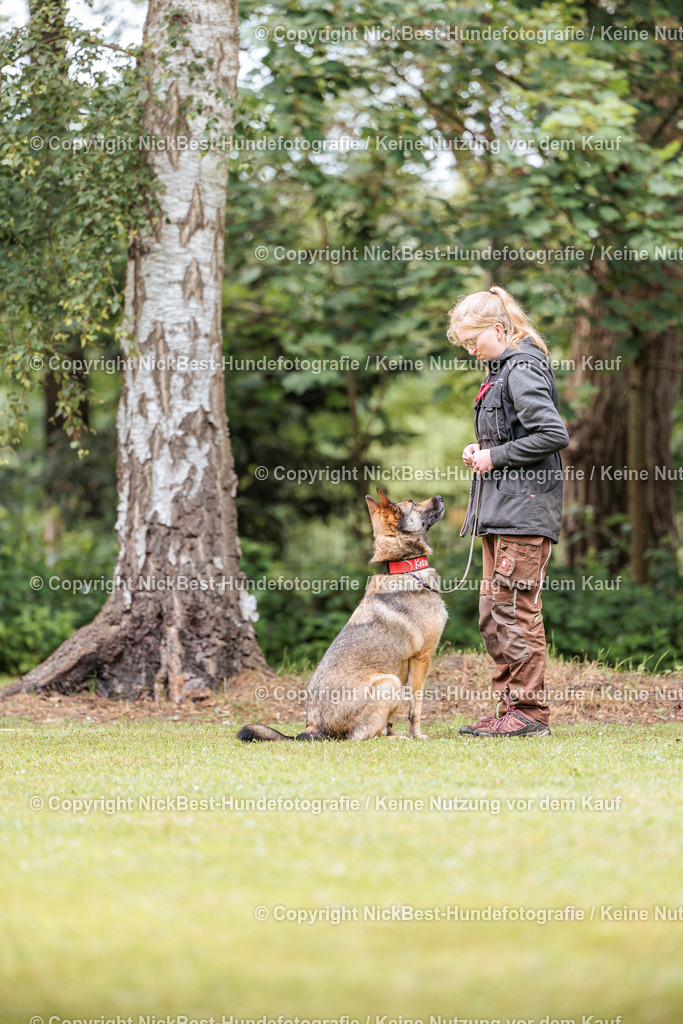 RO-Blumenthal-2026-Nickbest-Hundefotografie-4921 | Dein Hund! Dein Moment! Deine Erinnerungen! Hundefotografie in Bremen Blumenthal. Ich fange die besonderen Momente deines Vierbeiners ein – ob Indoor mit Blitzanlage oder in der freien Natur. Sicher dir dein Moment und dein Termin für eure Erinnerungen.