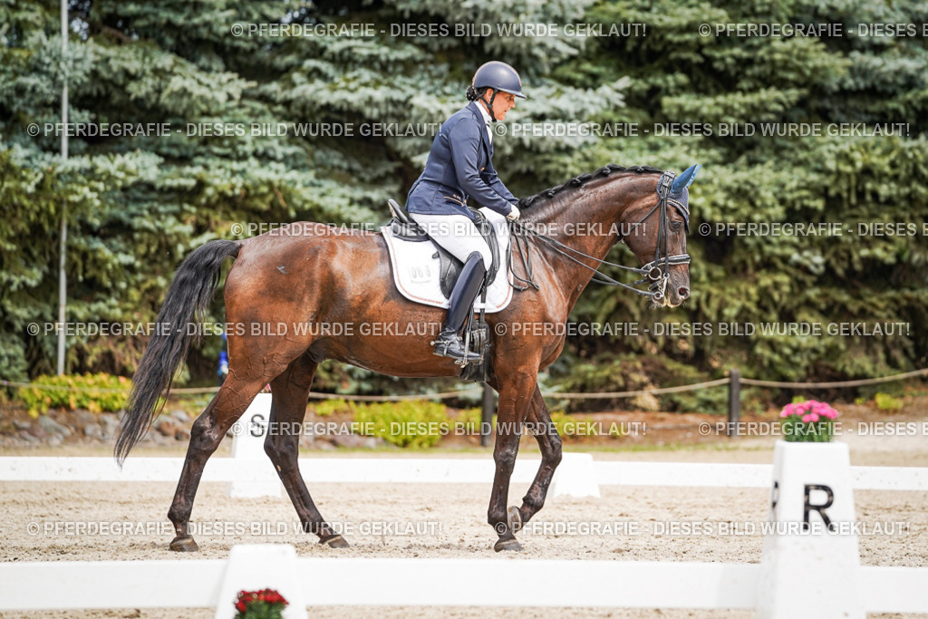 DSC05494 | Pferdegrafie