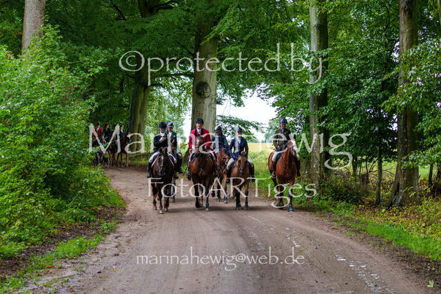 Jagd Perdoel 26 Sony-03867_MarinaHewig | Fotografie, FotoArt, PferdesportArt, Pferdesportfotografie, Landschaftsfotografie, Reisefotografie, Reise, Pferde - Realisiert mit Pictrs.com