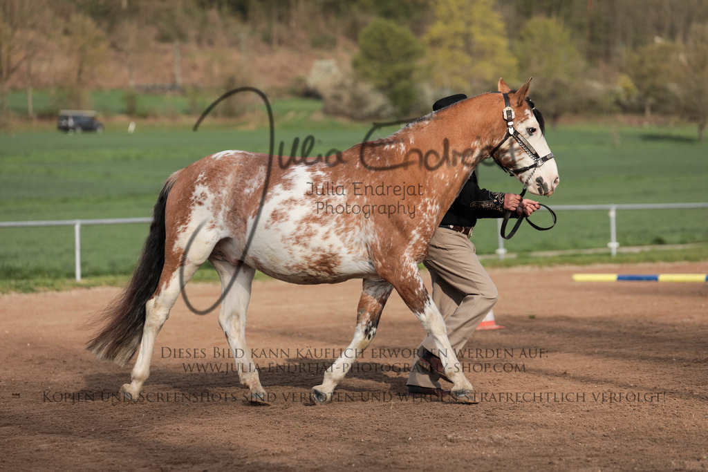 20230415-JuliaEndrejatPhotography-0082 | Julia Endrejat Photography