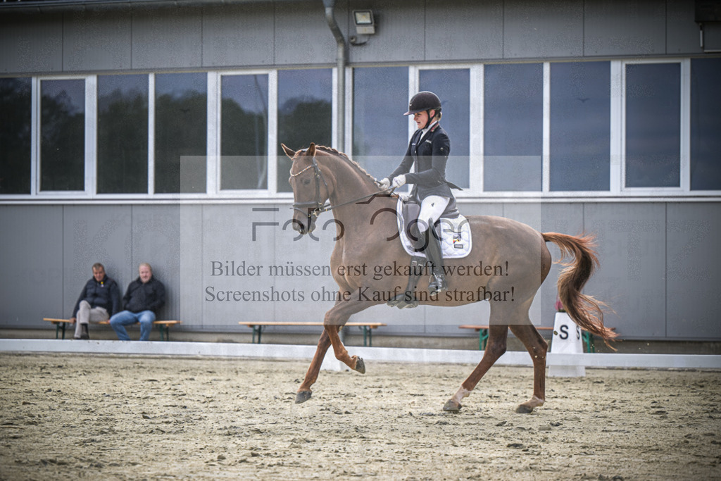 DOS_1890 | Entdecke hochwertige Reitturnierfotos von Foto Oger. Professionell, emotional und authentisch – jetzt Lieblingsmomente im Shop bestellen.Deutschlandweite Turnierfotografie. - Realisiert mit Pictrs.com