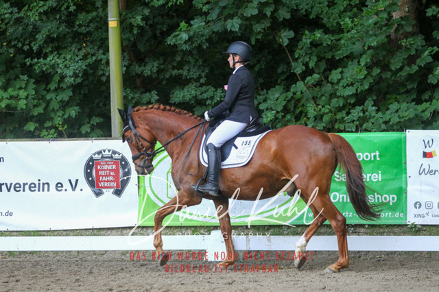 DKP43270 | Turniersportfotografie; Pferdefotografie; Dressurfotografie