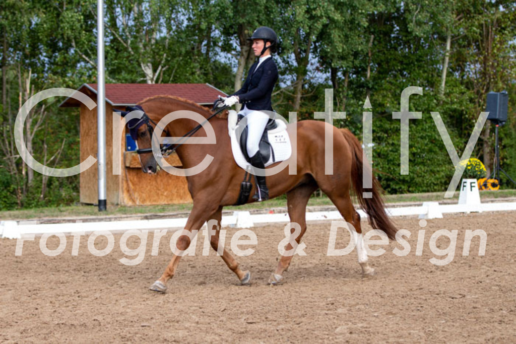 IMG_5910 | Creatify Fotografie