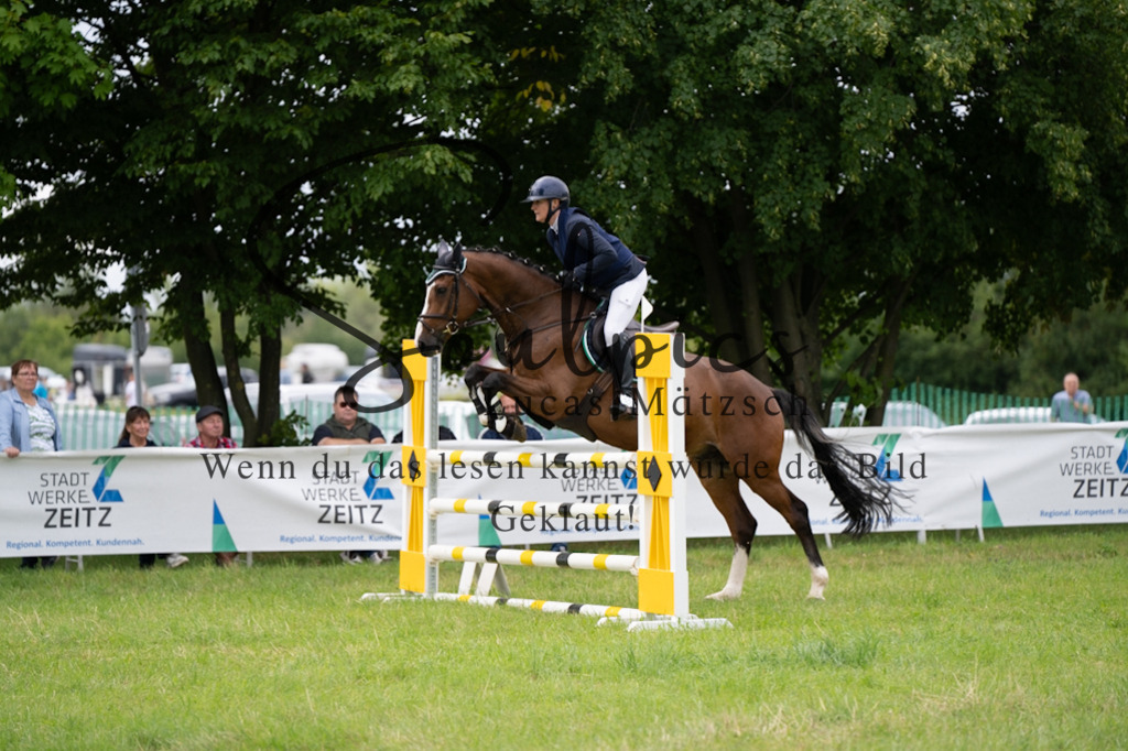 A7V03921 | Pferdefotograf