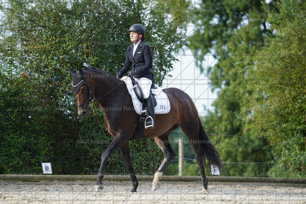 20230826-FAH04510 | Forstinning, 2023, Dressurturnier, Turniersportbilder, Turnierfotografen Bayern, Fotoagentur Herrmann, Reitsportfotografie, Turnierbilder