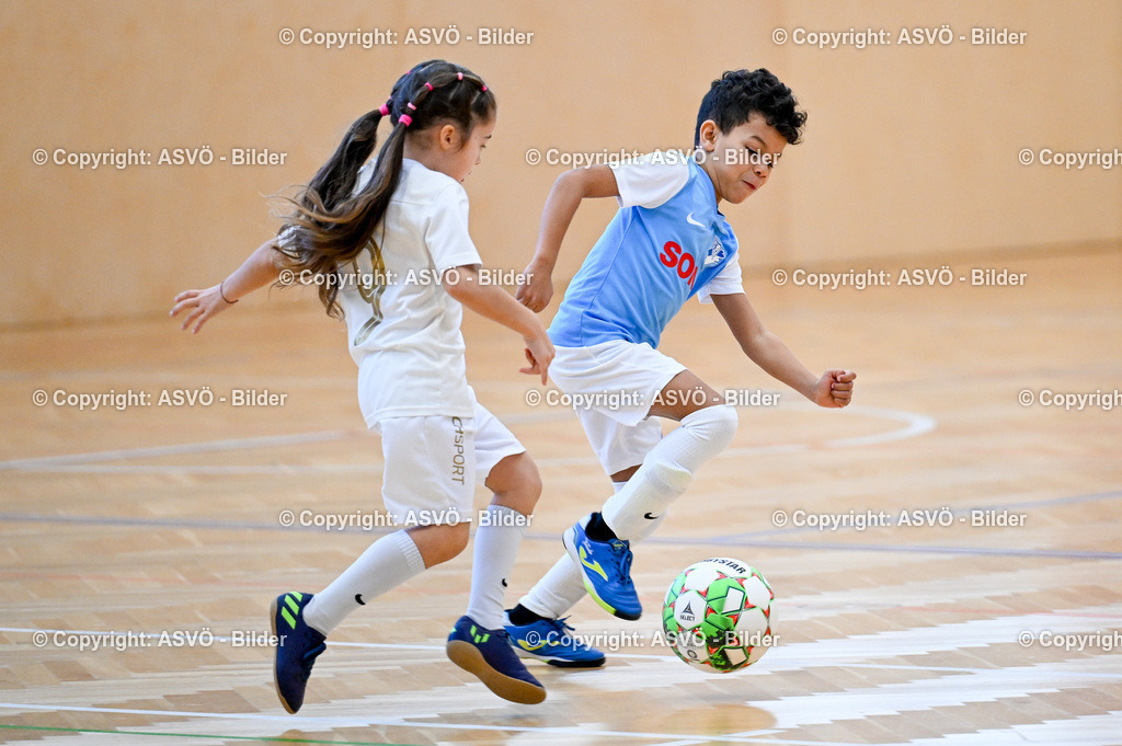 ASVÖ_ Fussballturnier SV Gallneukirchen_ 08.02.2025-63 | 08.02.2025, Gallneukirchen, AUT, ASVÖ, Fussball Nachwuchs Hallenturnier 2025, SV Gallneukirchen im Bild Teilnehmer U 7©Harald Dostal / fodo.media - Realisiert mit Pictrs.com