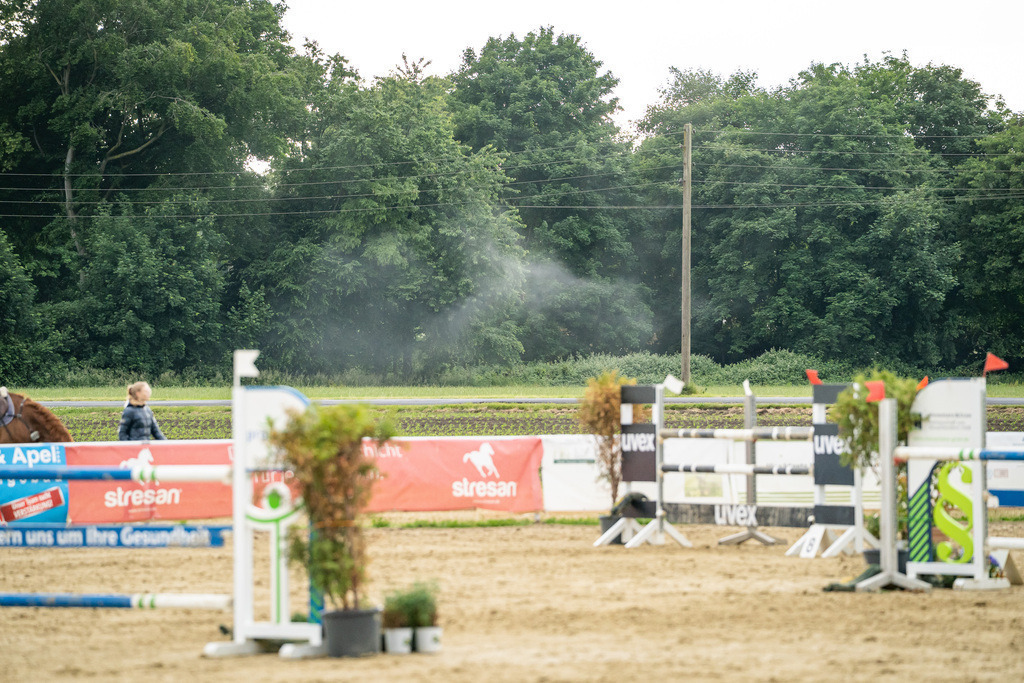 DSC07184 | Pferdegrafie