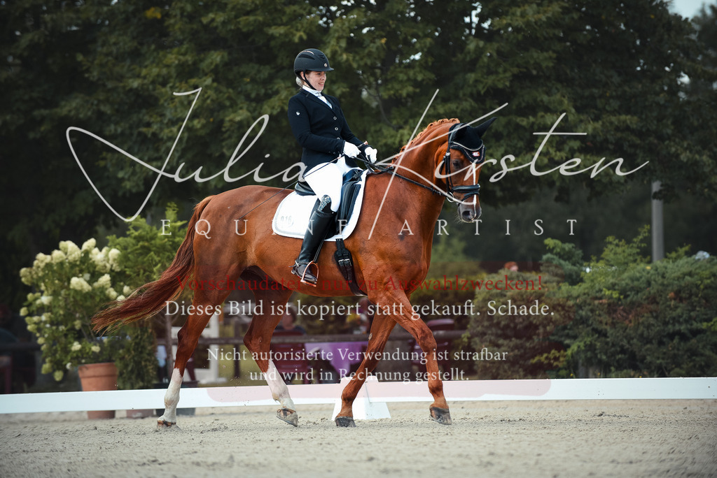 DSC_9100 | Pferde- und Turnierfotografie in Westsachsen. Pferdeportraits, Auftragszeichnungen und intuitive Kunst.
