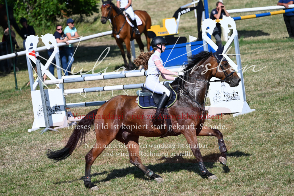 DSC_1896 | Pferde- und Turnierfotografie in Westsachsen. Pferdeportraits, Auftragszeichnungen und intuitive Kunst.