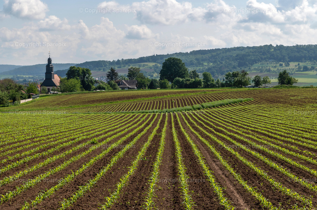 CAR_Agri_Spring_Field32 | Camera height 1,60 m - light 2/60° - Realisiert mit Pictrs.com