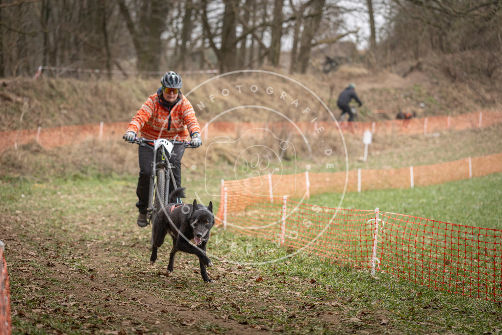 Pfotenfotografie_DV3A0113 | Hundefotografie, Tierfotograf, Pfotenfotografie, Fotoshooting Hund, Hunde Portrait, Hundesport, Hundeportraits, Heideshooting, Hunde, Sportfotograf, Hundefotograf, Turnierhundsport, THS,  - Realisiert mit Pictrs.com