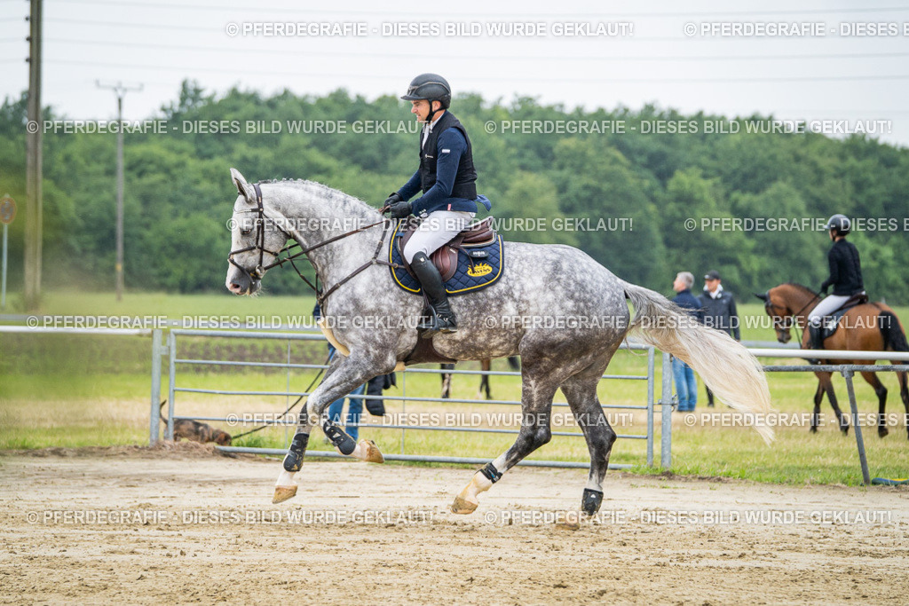 DSC02085 | Pferdegrafie