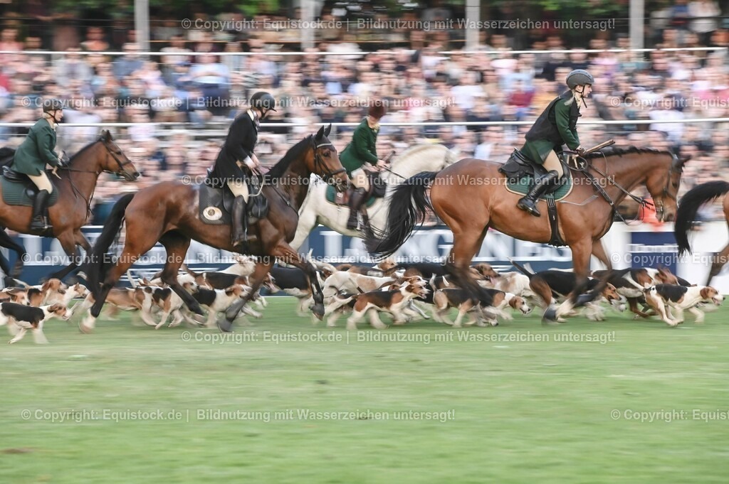 20230526_Pferdenacht_0648 | equistock