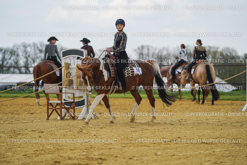 DSC06320 | Pferdegrafie