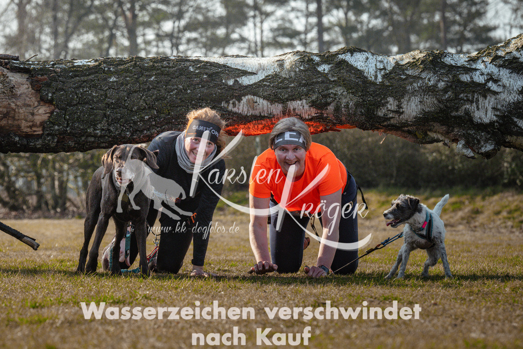 0950_ZZ90180 | kk-dogfotos