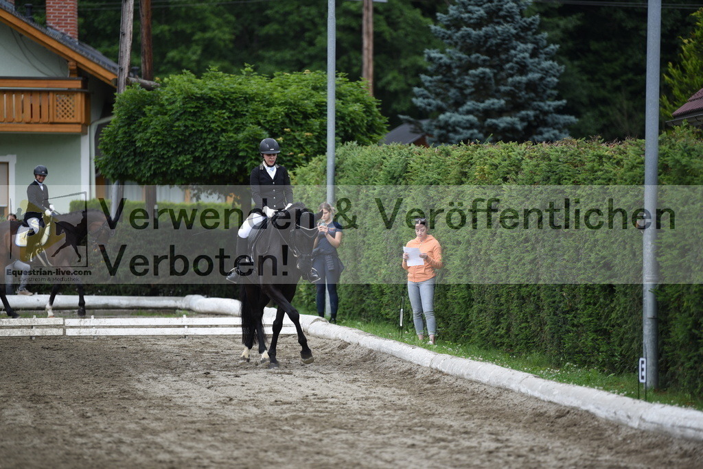DSC_4342 | equestrian-live-com