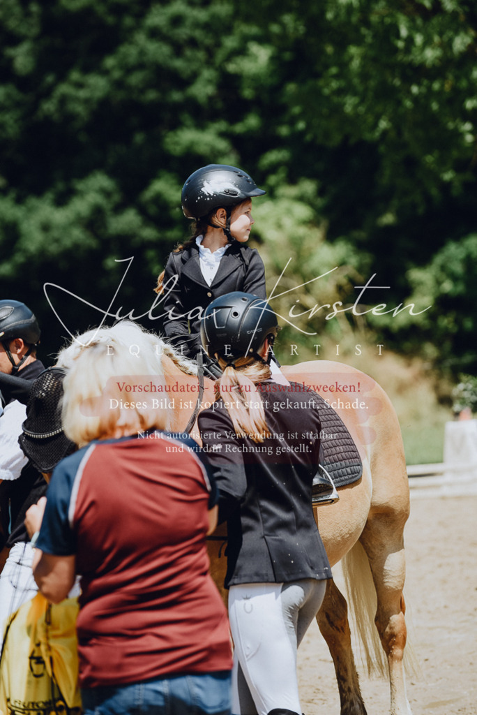 DSC_2663 | Pferde- und Turnierfotografie in Westsachsen. Pferdeportraits, Auftragszeichnungen und intuitive Kunst.