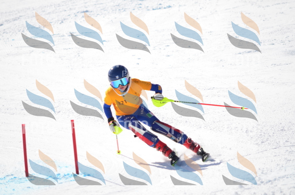 C9585 | holidayphoto