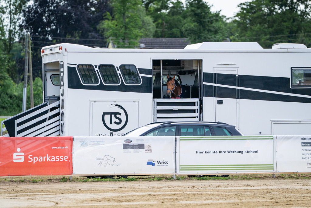 DSC07373 | Pferdegrafie