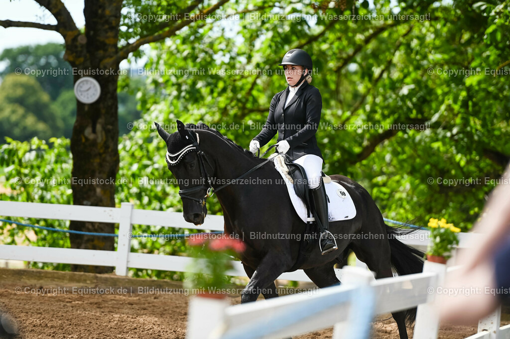 20230715_07_Dressurpferdeprfg. Kl.L_0151 | equistock