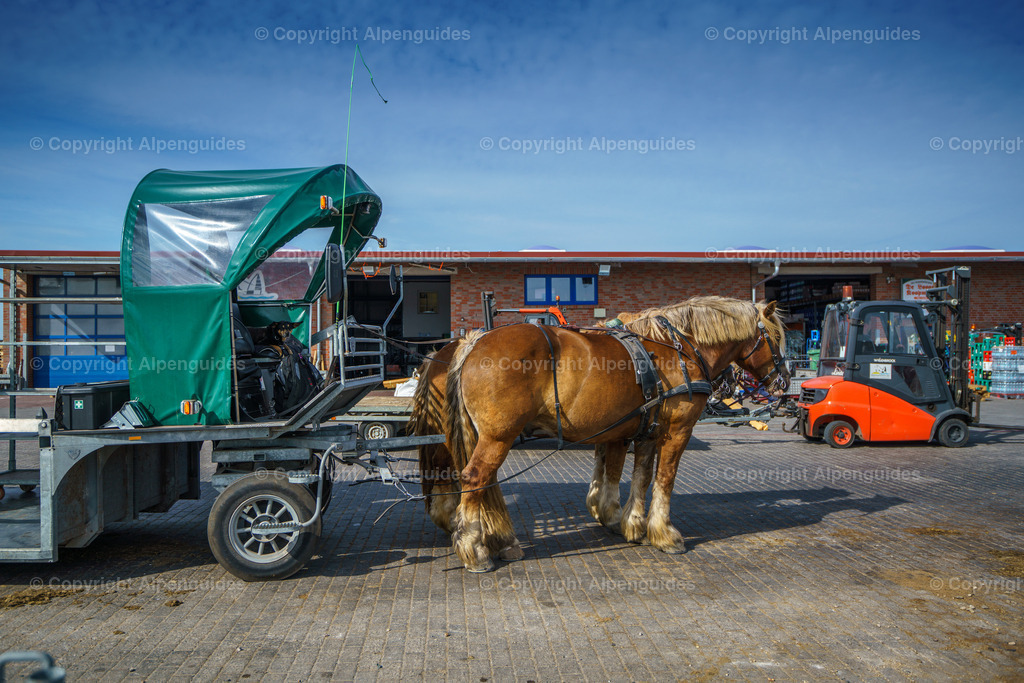 Juist-020 | Juist Nordsee - Realisiert mit Pictrs.com