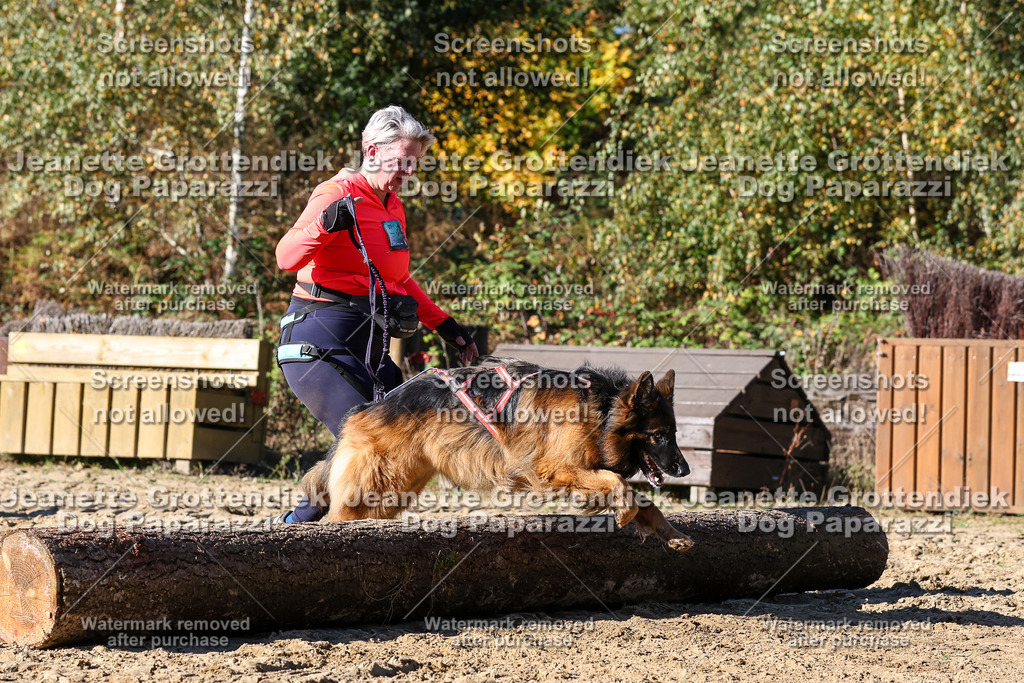 Dog Paparazzi - Strongdog 10-25-2636 | Dog Paparazzi Jeanette Grottendiek Fotografie & Videografie - Realisiert mit Pictrs.com
