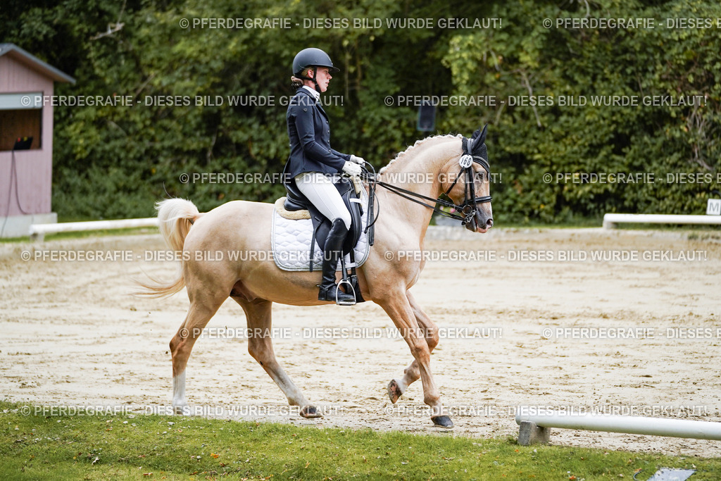 DSC08989 | Pferdegrafie