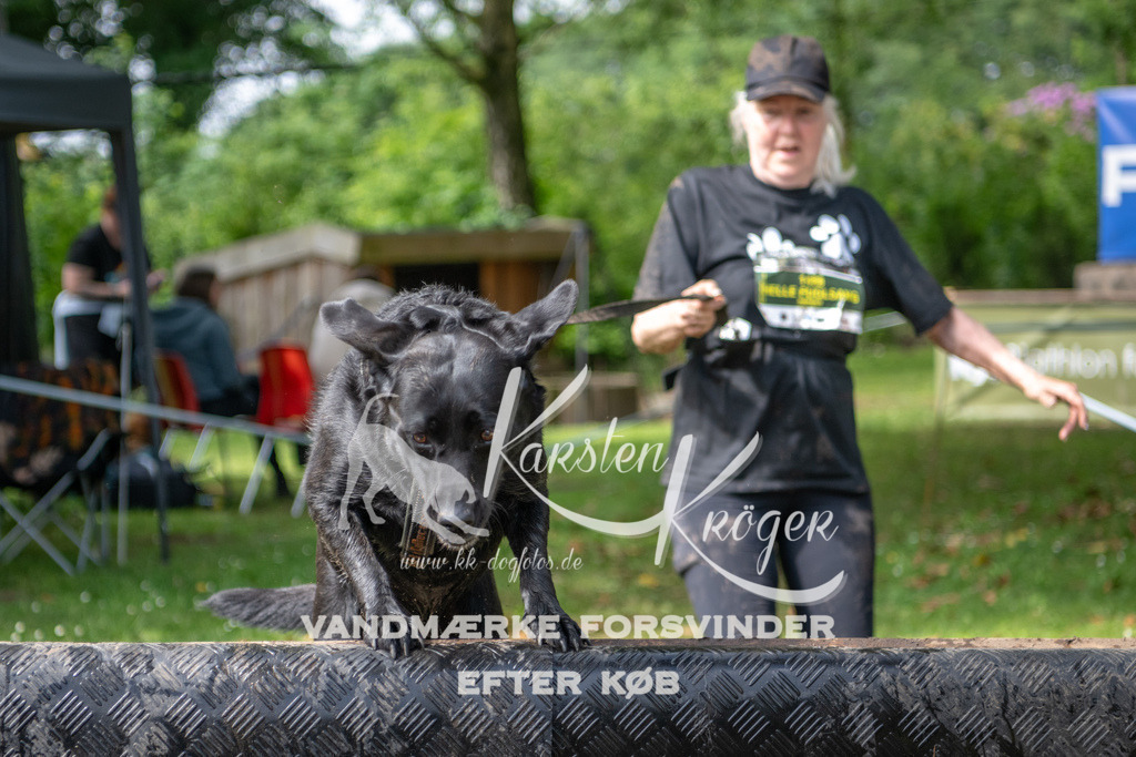 1009_ZZ94310 | kk-dogfotos