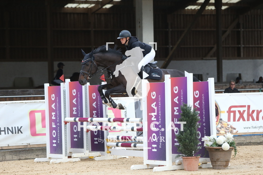 DL2Q4215 | Willkommen bei Brunnmayr - Design & Fotografie – Ihrem Spezialisten für Reitturniere und Pferdeveranstaltungen in Oberösterreich, Salzburg und Bayern! Seit über 17 Jahren sind wir leidenschaftlich dabei.