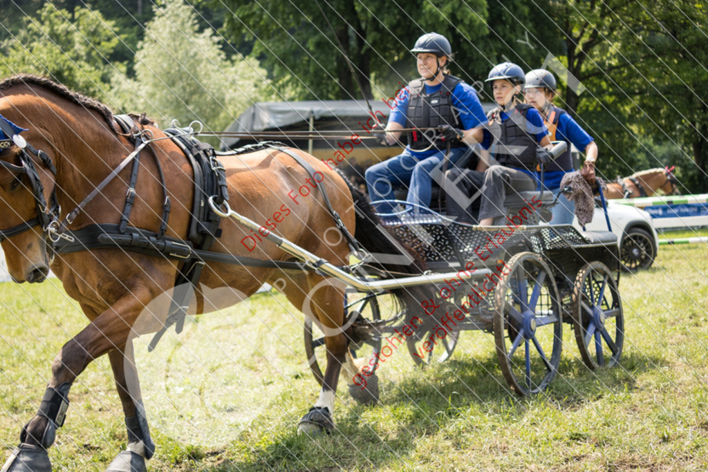 IMG_8640 | Sport-, Event- und Tierfotos in Profiqualität. Einfach auswählen, bestellen und herunterladen. Dein Moment – perfekt festgehalten.