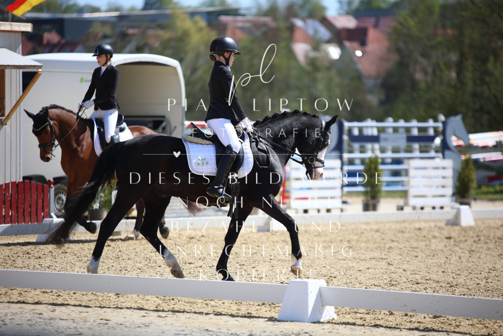 IMGT1454 | pl-fotografie