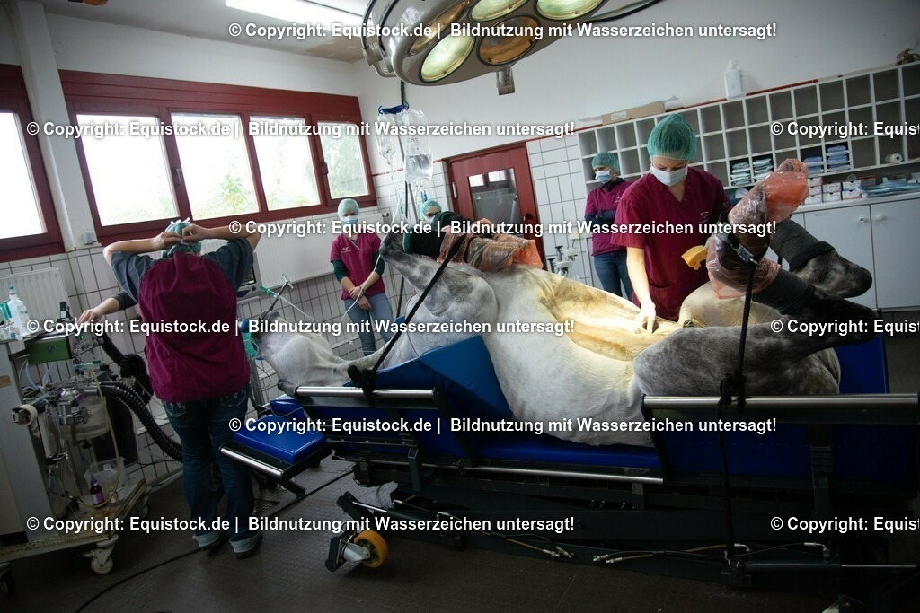 20191022_Kolik_OP_0006 | equistock