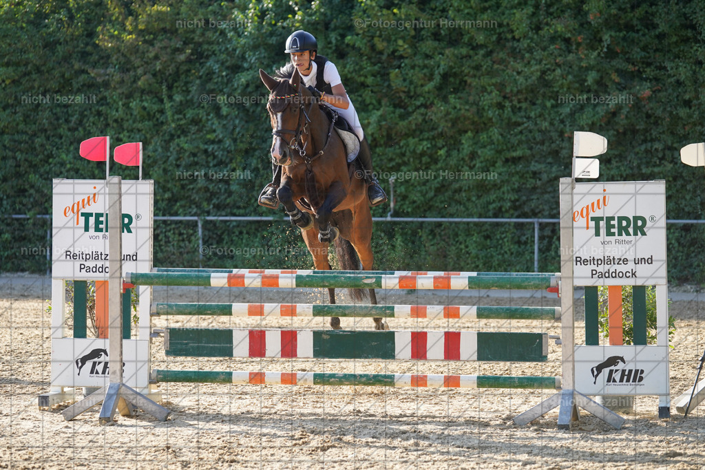 20240824-FAH08739 | Thierhaupten 2024, Bayerisches Landesponyturnier, Turnierbilder, Ponybilder, Turnierfotografen Bayern, Fotoagentur Herrmann